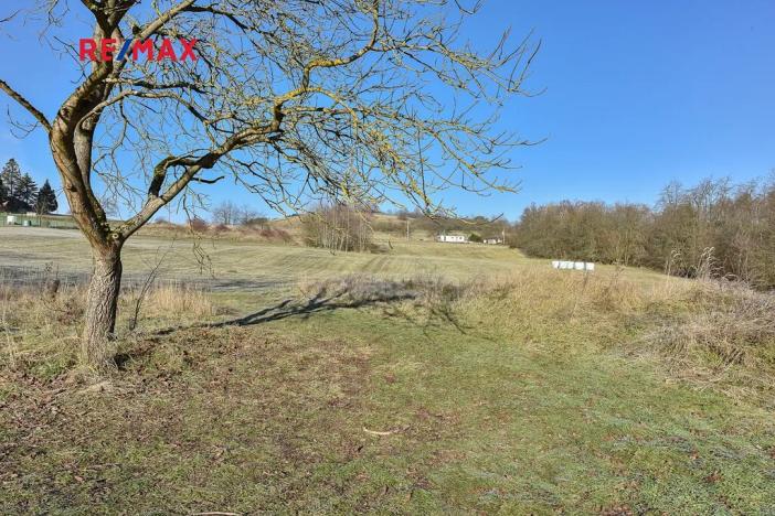 Prodej pozemku pro bydlení, Břasy, 6257 m2