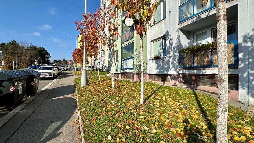 Pronájem bytu 1+1, Praha - Černý Most, Bratří Venclíků, 35 m2