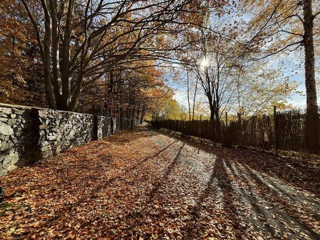 Prodej bytu 2+kk, Jesenice, Lomená, 45 m2