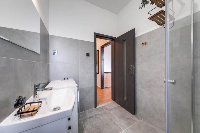 Pronájem bytu 1+kk, Ostrava - Vítkovice, Ruská, 31 m2