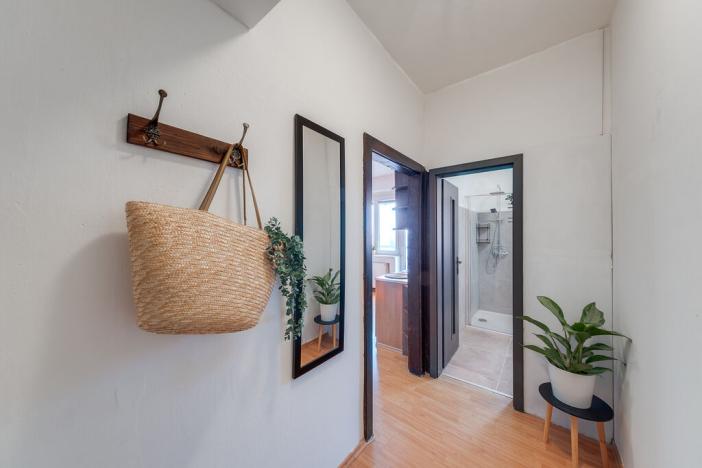 Pronájem bytu 1+kk, Ostrava - Vítkovice, Ruská, 31 m2