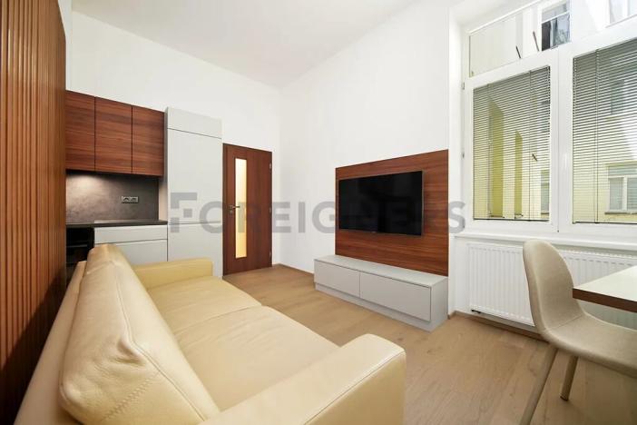 Pronájem bytu 1+kk, Brno, Masarykova, 35 m2