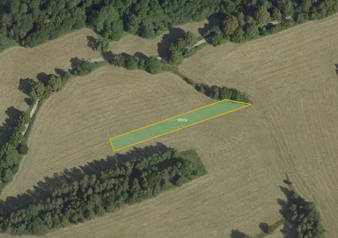 Prodej podílu louky, Kořenec, 5768 m2