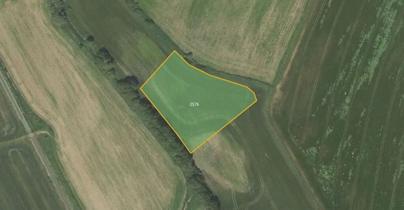 Prodej louky, Městečko Trnávka, 8040 m2