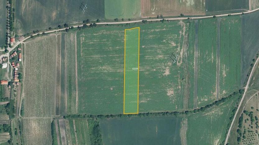 Prodej pole, Milotice, 7763 m2