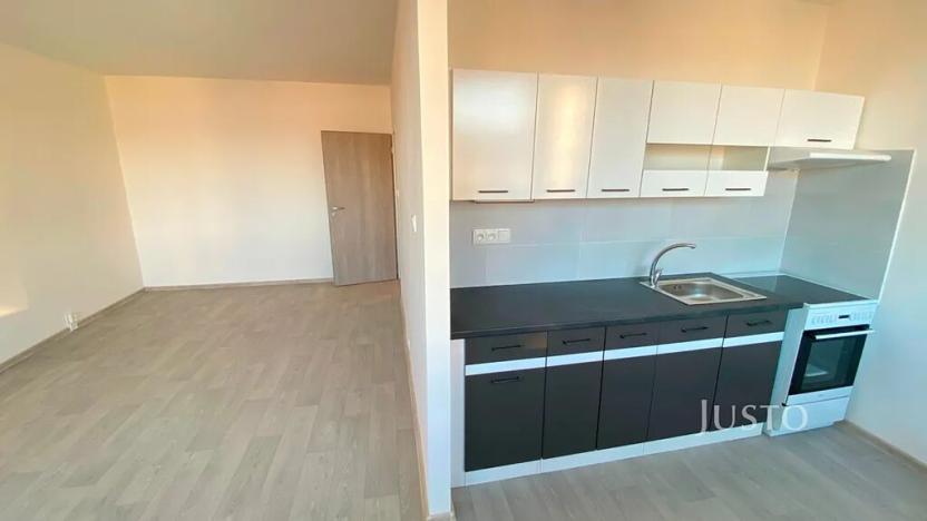 Pronájem bytu 2+1, Teplice, Alejní, 50 m2