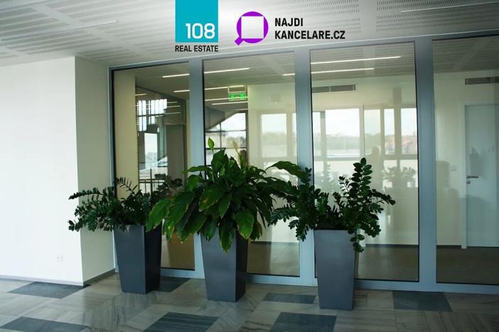 Pronájem kanceláře, Ostrava, Gregorova, 740 m2