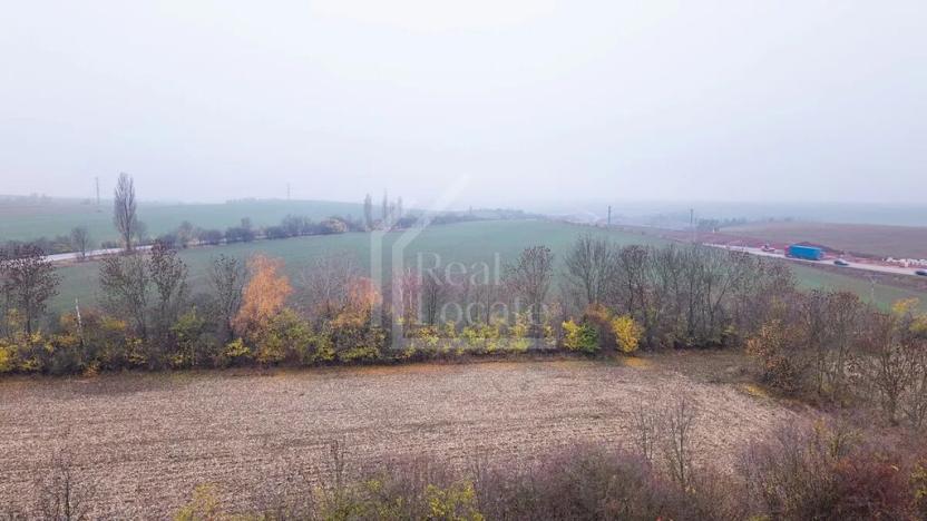 Prodej podílu pozemku, Třebíz, 161602 m2