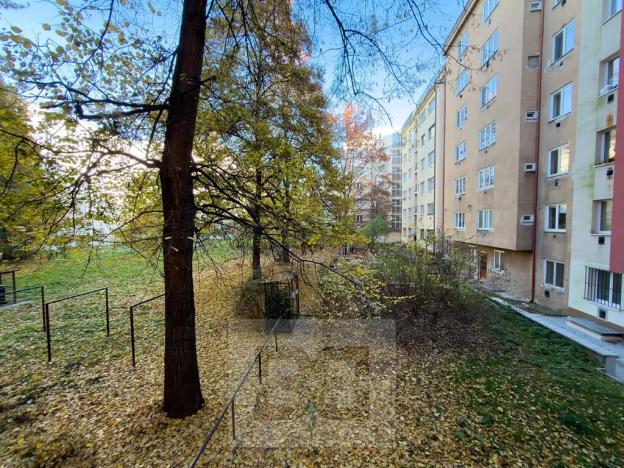 Pronájem bytu 2+kk, Praha - Žižkov, Viklefova, 46 m2