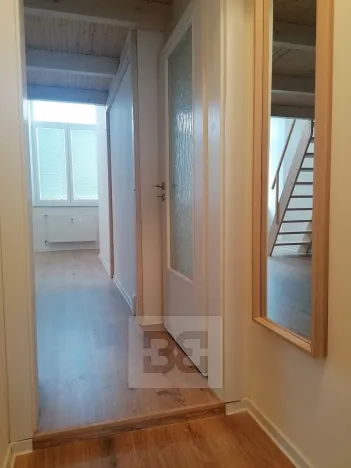 Pronájem bytu 1+kk, Ostrava, Palackého, 30 m2