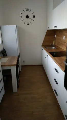 Pronájem bytu 1+1, Brno, Brožíkova, 38 m2