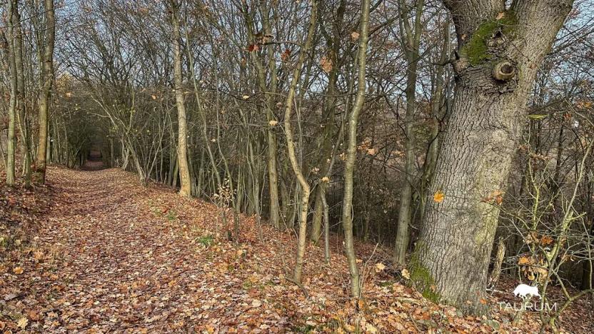 Prodej pozemku, Jílové u Prahy, 3438 m2