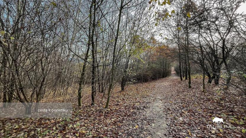 Prodej pozemku, Jílové u Prahy, 3438 m2