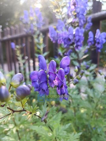 Prodej rodinného domu, Rudník, 245 m2