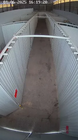 Pronájem skladu, Sedliště, 162 m2