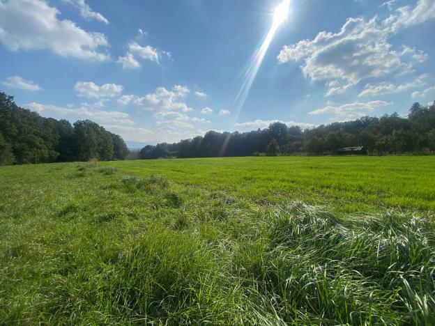 Prodej domu, Horní Bludovice, 524 m2