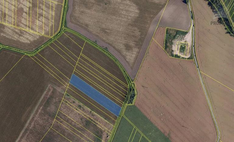 Prodej pole, Nesvačilka, 75595 m2