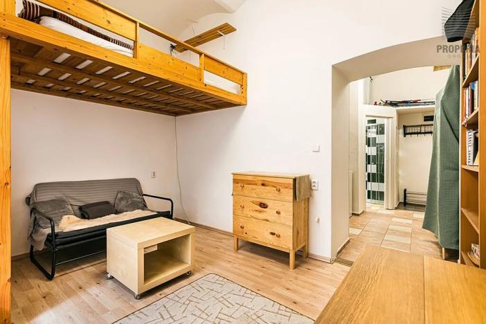 Prodej bytu 1+1, Brno, Hlinky, 24 m2