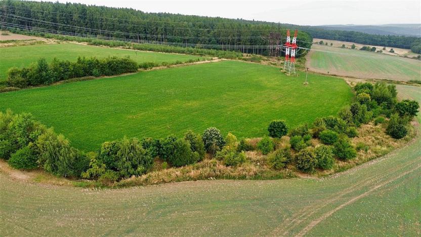 Prodej pole, Příčina, 12888 m2