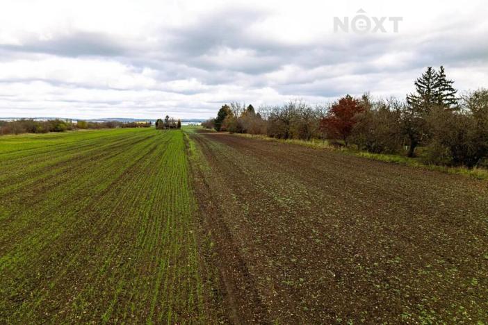 Prodej komerčního pozemku, Brno, 2814 m2