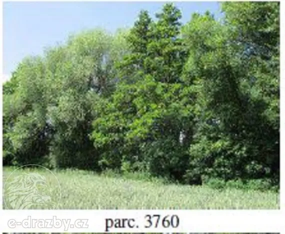 Dražba pole, Brno, 7587 m2