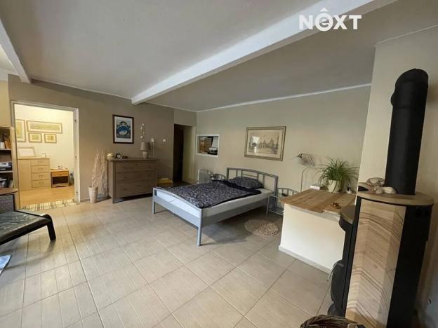 Prodej vícegeneračního domu, Lhenice, Netolická, 400 m2