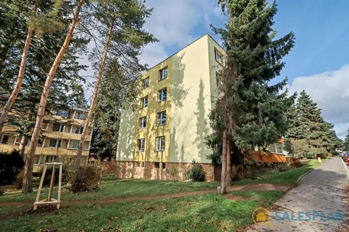 Prodej bytu 2+1, Brno, Foerstrova, 62 m2