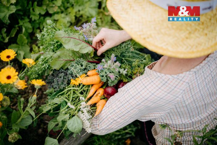 Prodej pozemku pro bydlení, Sušice, 4292 m2