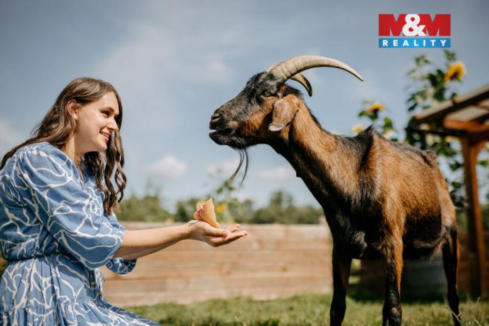 Prodej pozemku pro bydlení, Sušice, 4292 m2