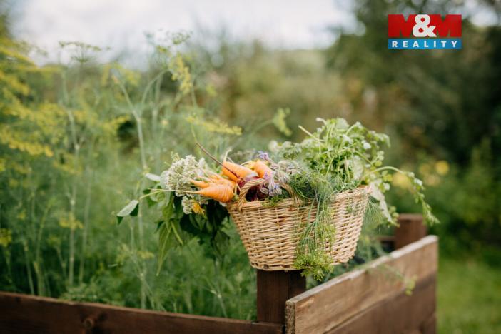 Prodej komerčního pozemku, Sušice - Divišov, 4292 m2