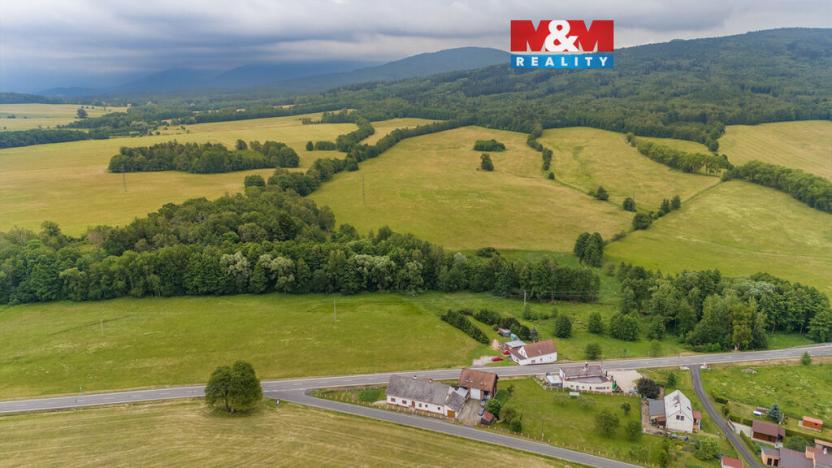 Prodej louky, Dětřichov, 4178 m2