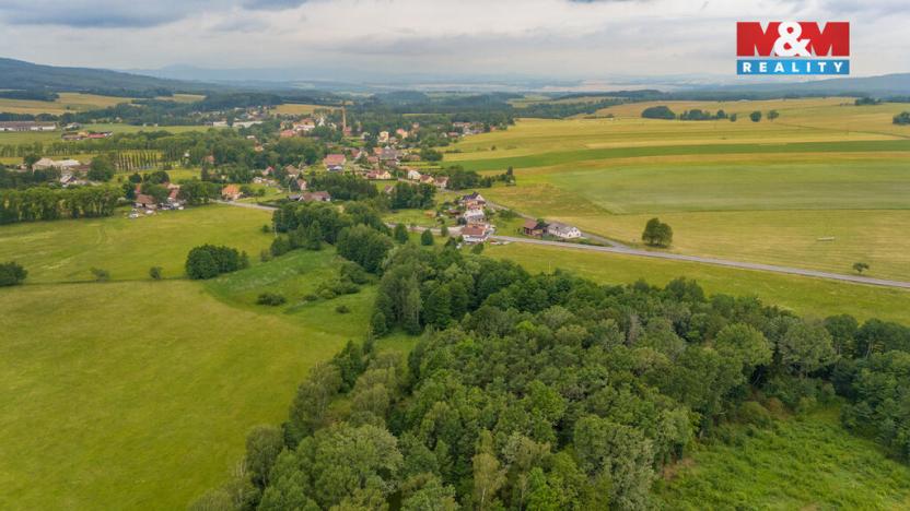 Prodej louky, Dětřichov, 4178 m2