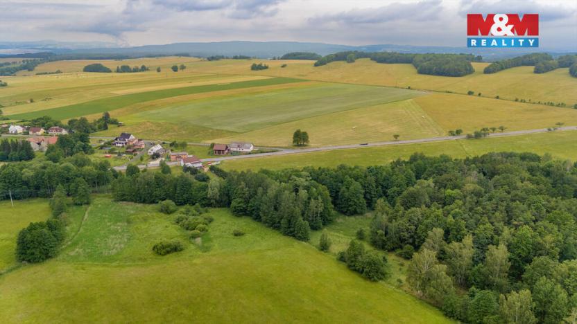 Prodej louky, Dětřichov, 4178 m2