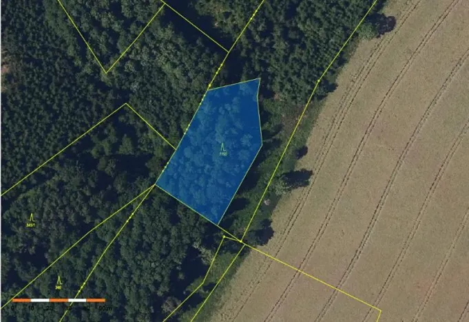 Prodej lesa, Česká Bělá, 2647 m2