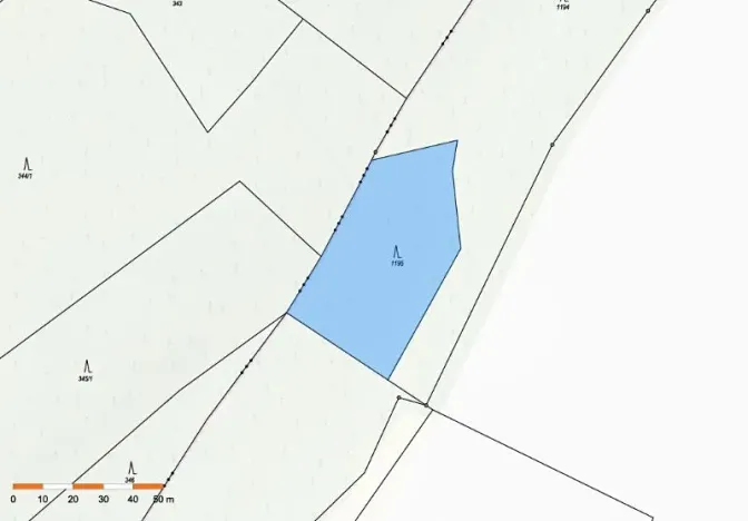 Prodej lesa, Česká Bělá, 2647 m2