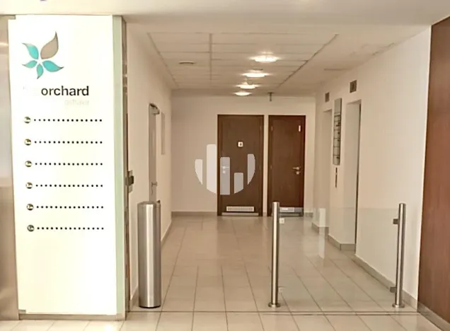 Pronájem kanceláře, Ostrava, Hornopolní, 616 m2