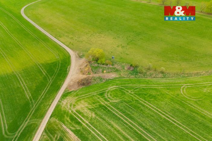 Prodej louky, Olešnice, 730 m2