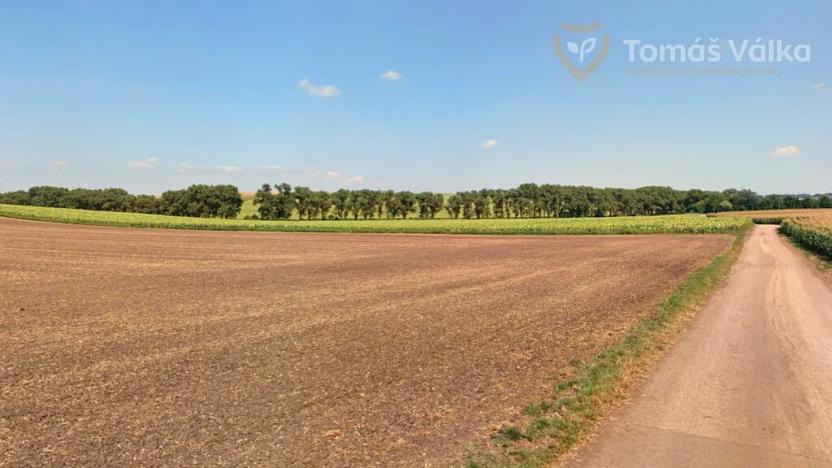 Prodej pole, Nikolčice, 10239 m2