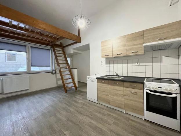Pronájem bytu 1+kk, Liberec, Rumjancevova, 25 m2