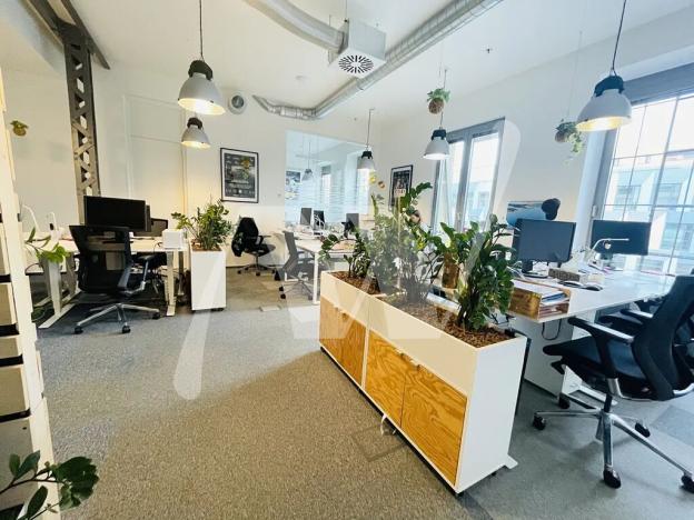 Pronájem kanceláře, Praha - Holešovice, Jankovcova, 337 m2