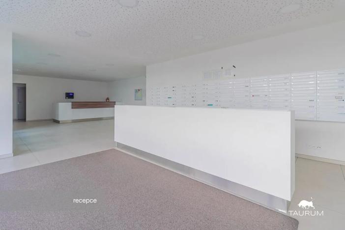 Prodej bytu 4+kk, Plzeň, Nemocniční, 95 m2