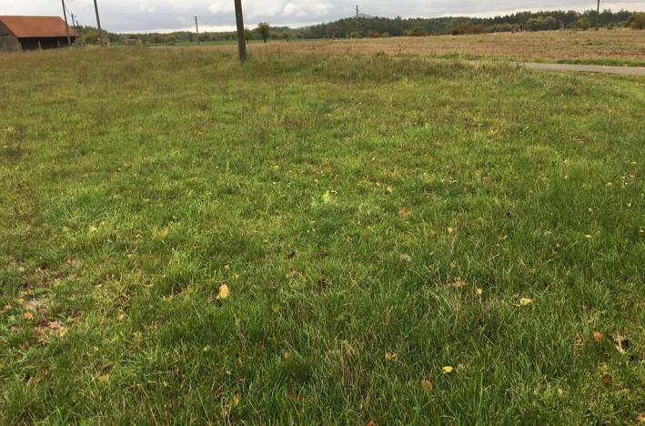 Prodej sadu/vinice, Troskovice, 8502 m2