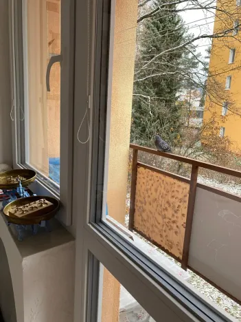 Prodej bytu 2+1, Mariánské Lázně, Franze Kafky, 54 m2