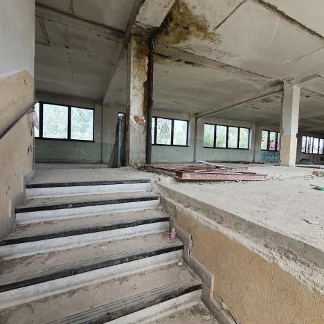 Prodej komerčního pozemku, Tišnov, Červený Mlýn, 6493 m2