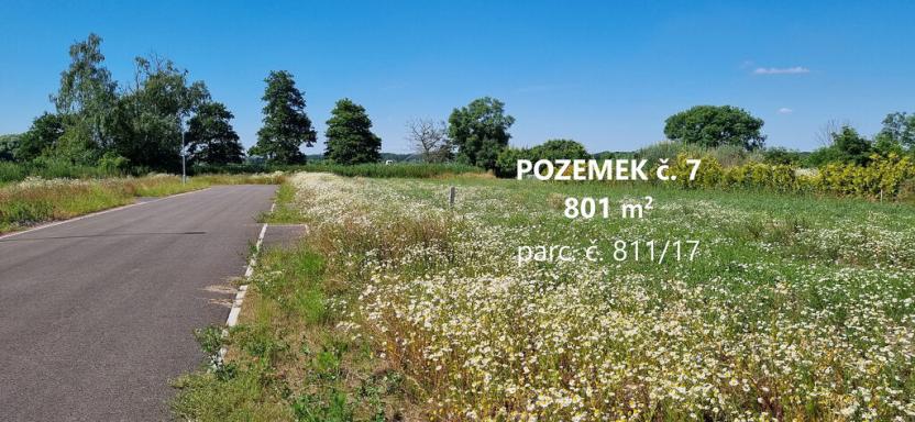 Prodej pozemku, Nedomice, 803 m2