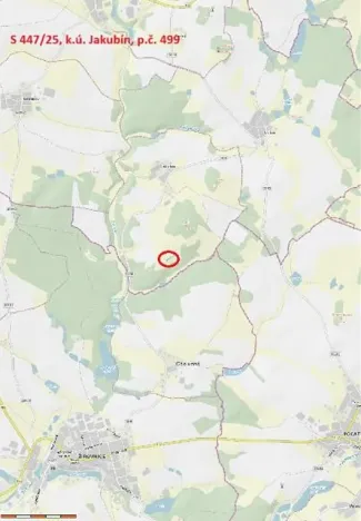 Prodej lesa, Častrov, 768 m2