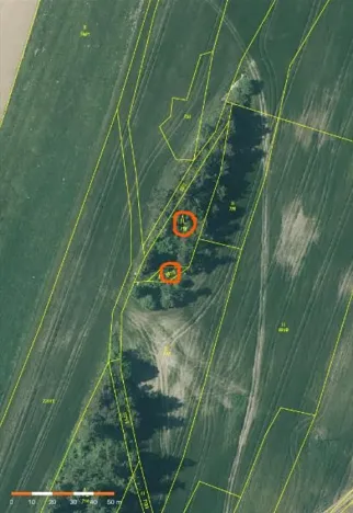 Prodej lesa, Nová Bystřice, 1069 m2