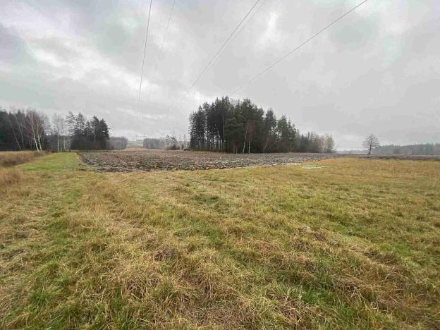 Prodej pole, Ždírec nad Doubravou - Údavy, 3034 m2