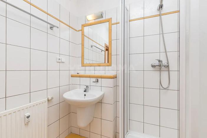 Pronájem bytu 2+kk, Blovice, Americká, 36 m2