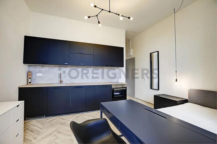 Pronájem bytu 1+kk, Brno, Vlhká, 26 m2